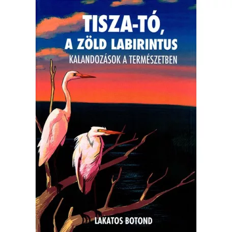 Tisza-tó, a zöld labirintus - Kalandozások a természetben.