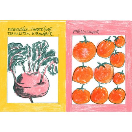 A giliszta kérdez (illusztrált)