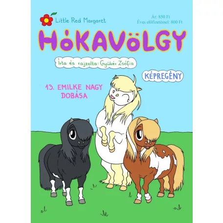 Hókavölgy 13