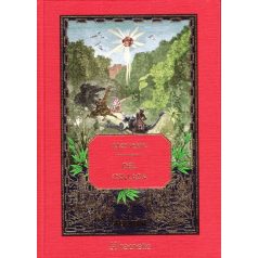 Dél Csillaga (Regény_28)