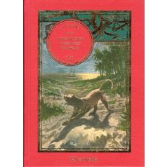 Antifer mester csodálatos kalandjai II.kötet (Regény_45)