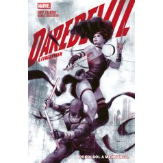 Daredevil - A Fenegyerek - Pokolból a mennybe 2.kötet