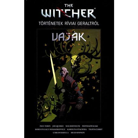 The Witcher - Történetek Rívia Geraltról