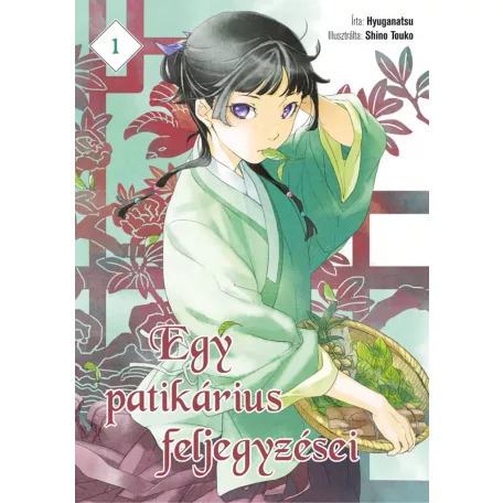 Egy patikárius feljegyzései 1.kötet (regény)