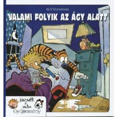 Kázmér és Huba 2.- Valami folyik az ágy alatt