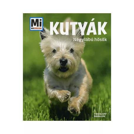 Kutyák