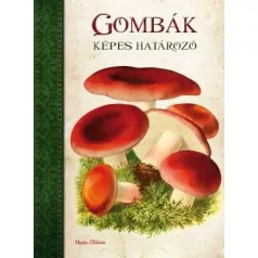 Gombák