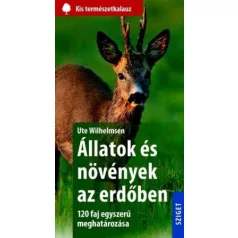 Állatok és növények az erdőben