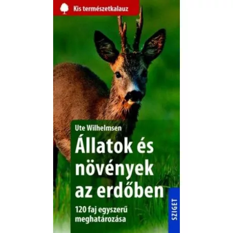 Állatok és növények az erdőben