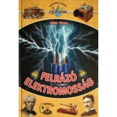 Felrázó elektromosság