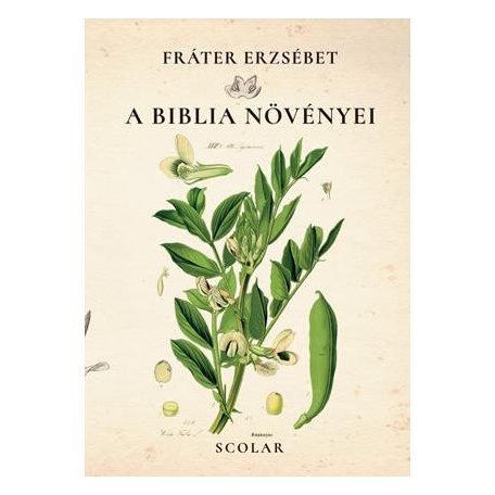 A Biblia növényei