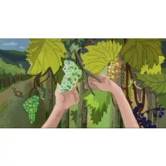 Borsi szüretel (Ringató) - Diafilm