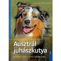 Ausztrál juhászkutya