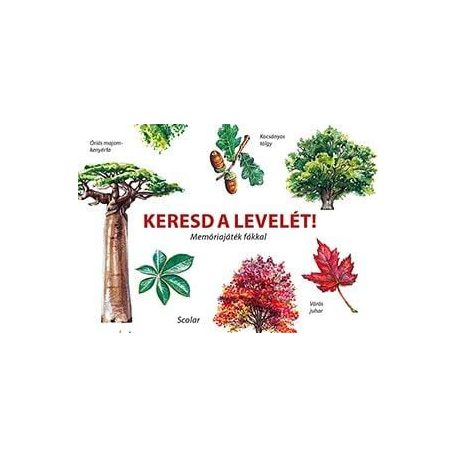 Keresd a levelét! - Memóriajáték fákkal