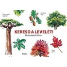 Keresd a levelét! - Memóriajáték fákkal