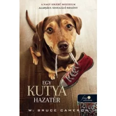 Egy kutya hazatér