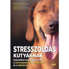 Stresszoldás kutyáknak