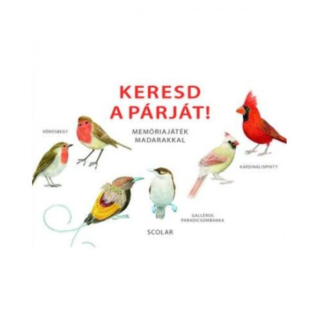 Keresd a párját! – Memóriajáték madarakkal