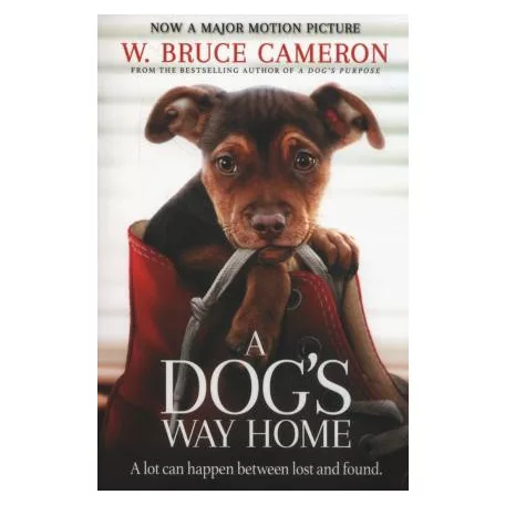 A Dog's way home