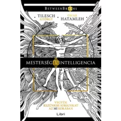   Mesterség és intelligencia - Vegyük kezünkbe sorsunkat az MI korában