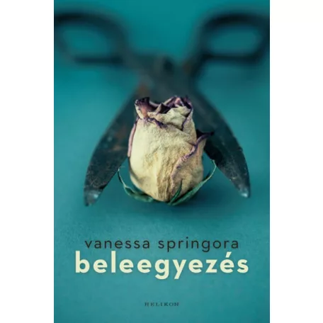 Beleegyezés