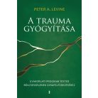 A trauma gyógyítása