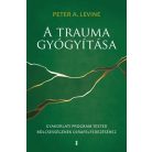 A trauma gyógyítása