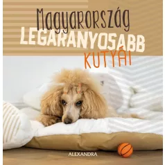 Magyarország legaranyosabb kutyái