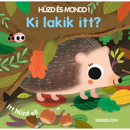 Húzd és mondd! 7. - Ki lakik itt?