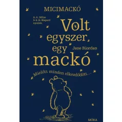 Micimackó - Volt egyszer egy mackó
