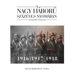   A nagy háború százéves nyomában: Szarajevótól Trianonig – 2. kötet: 1916–1917–1918