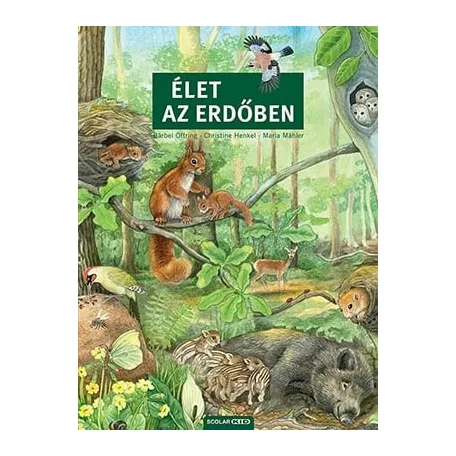 Élet az erdőben