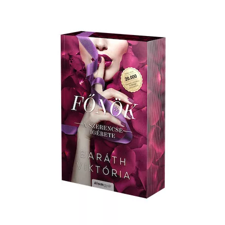 A szerencse ígérete - A főnök 3. - Éldekorált kiadás