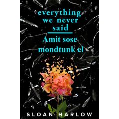 Everything We Never Said - Amit sose mondtunk el