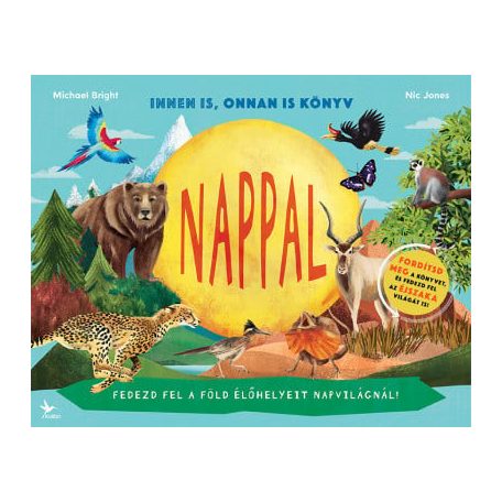 Nappal / Éjszaka - Innen is, onnan is könyv