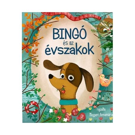 Bingó és az évszakok