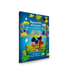 Hajdinaföldi történetek