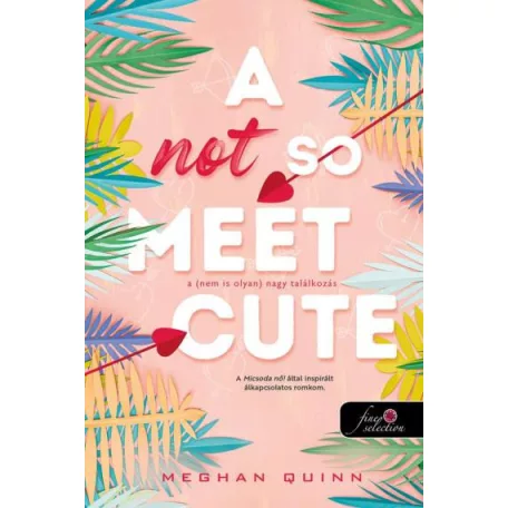 A Not So Meet Cute - A (nem is olyan) nagy találkozás (Cane Fivérek 1.)