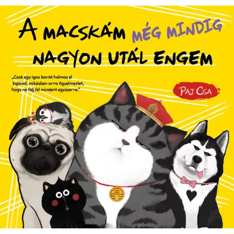 A macskám még mindig nagyon utál engem (Macska és Kutya 3.)
