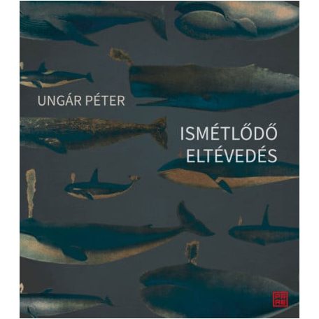 Ismétlődő eltévedés