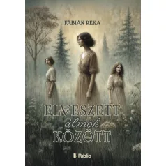 Elveszett álmok között