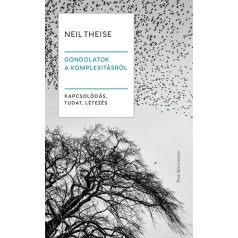 Gondolatok a komplexitásról