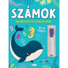 Számok - Írásbevezető gyakorlatok