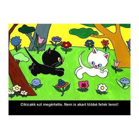 Cikicakk, a fekete cica - Diafilm