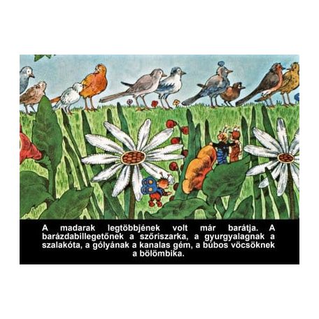 A nagyravágyó feketerigó - Diafilm