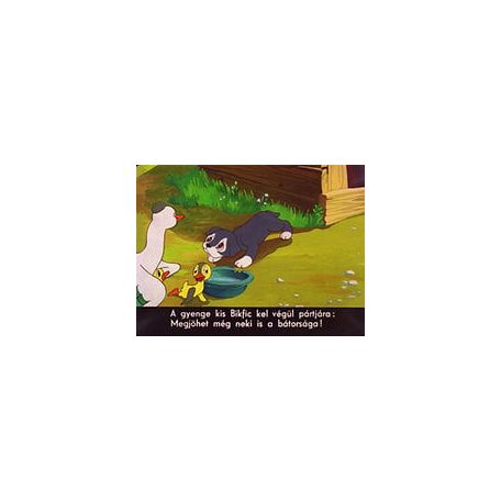 Kutyakötelesség - Diafilm