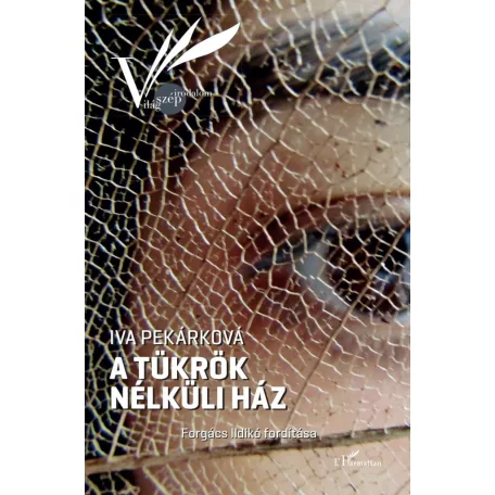 A tükrök nélküli ház