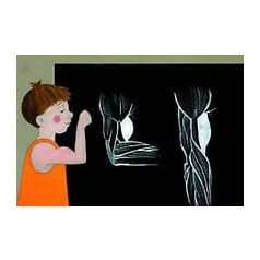 Testünk felépítése - Diafilm