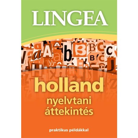 Holland nyelvtani áttekintés