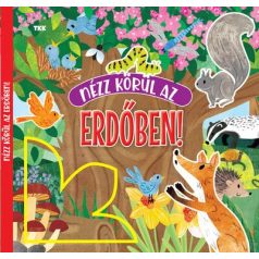 Nézz körül az erdőben!